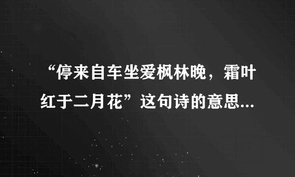 “停来自车坐爱枫林晚，霜叶红于二月花”这句诗的意思是什么？