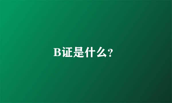 B证是什么？