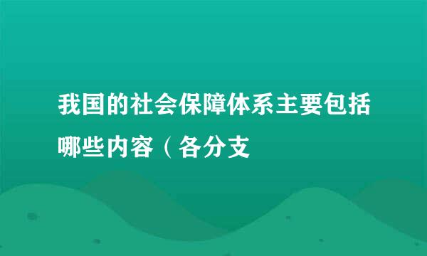 我国的社会保障体系主要包括哪些内容（各分支