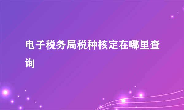 电子税务局税种核定在哪里查询