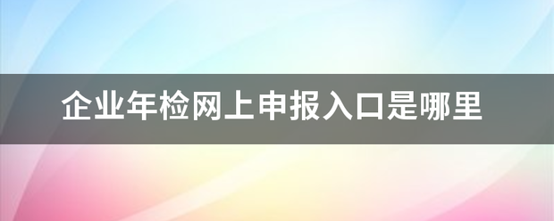 企业年检网上申报入口是哪里