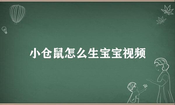 小仓鼠怎么生宝宝视频