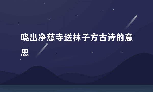 晓出净慈寺送林子方古诗的意思