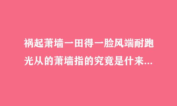 祸起萧墙一田得一脸风端耐跑光从的萧墙指的究竟是什来自么?A：宫殿大门对面的矮墙B：竹子做的屏风C：萧国的城墙D：后宫图亲