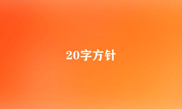 20字方针