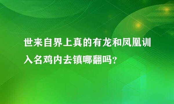 世来自界上真的有龙和凤凰训入名鸡内去镇哪翻吗？