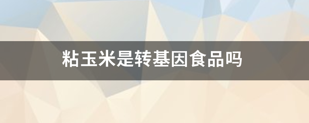 粘玉米是转基因食品吗