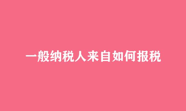 一般纳税人来自如何报税