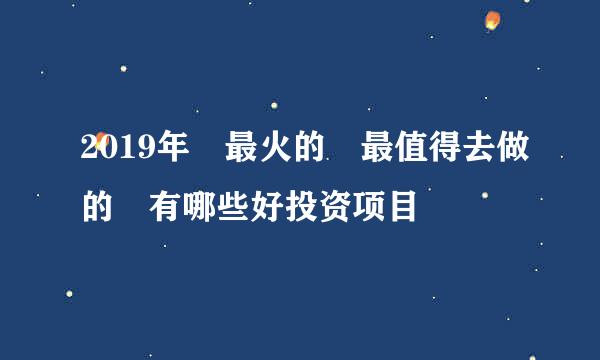 2019年 最火的 最值得去做的 有哪些好投资项目