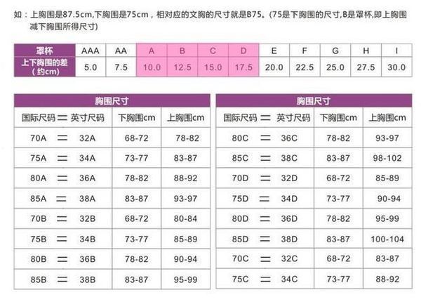 c罩杯和d罩杯有何区别