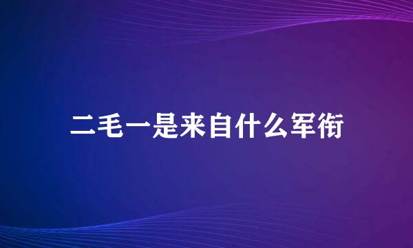 二毛一是来自什么军衔