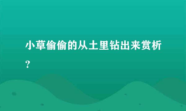 小草偷偷的从土里钻出来赏析？