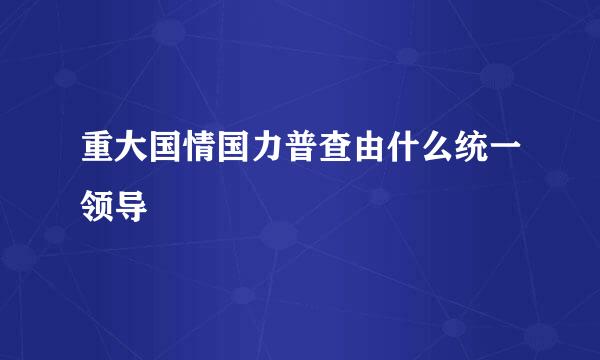 重大国情国力普查由什么统一领导