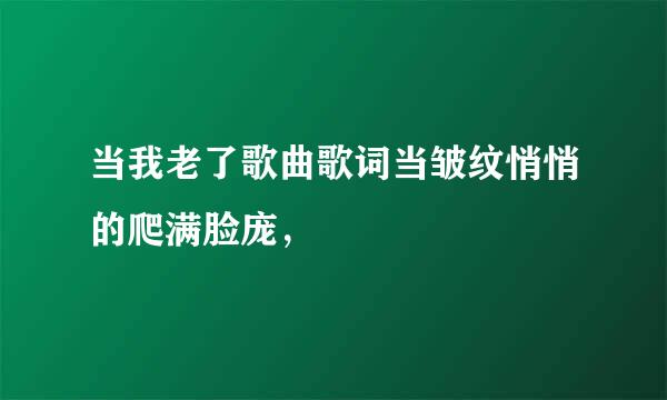 当我老了歌曲歌词当皱纹悄悄的爬满脸庞，