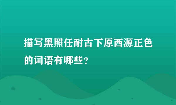 描写黑照任耐古下原西源正色的词语有哪些？