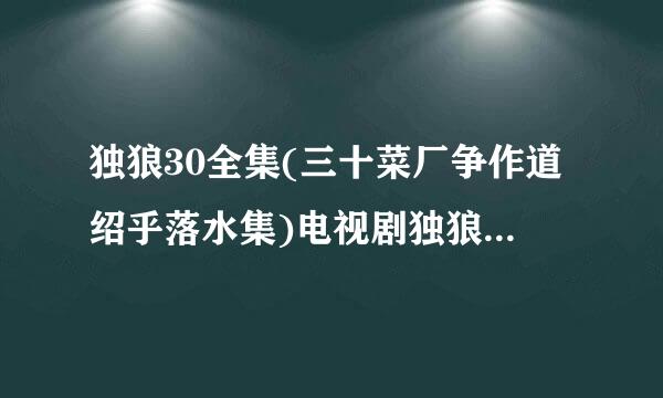 独狼30全集(三十菜厂争作道绍乎落水集)电视剧独狼高清来自dvd下载地址