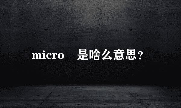 micro 是啥么意思？