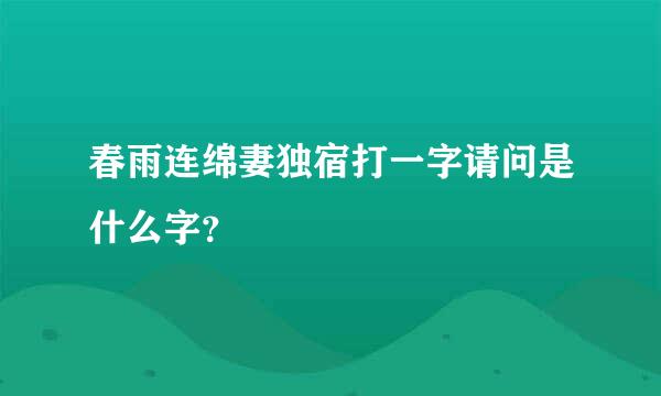 春雨连绵妻独宿打一字请问是什么字？