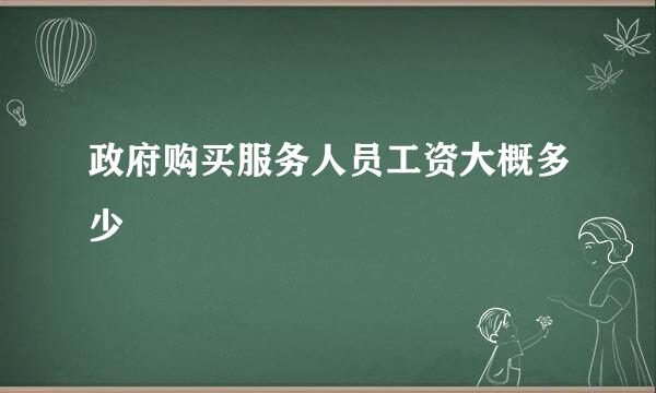 政府购买服务人员工资大概多少