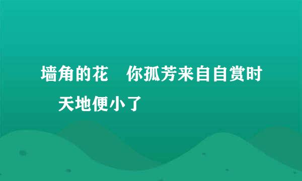 墙角的花 你孤芳来自自赏时 天地便小了