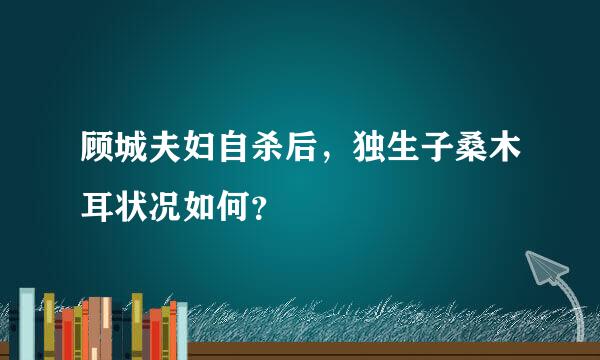 顾城夫妇自杀后，独生子桑木耳状况如何？