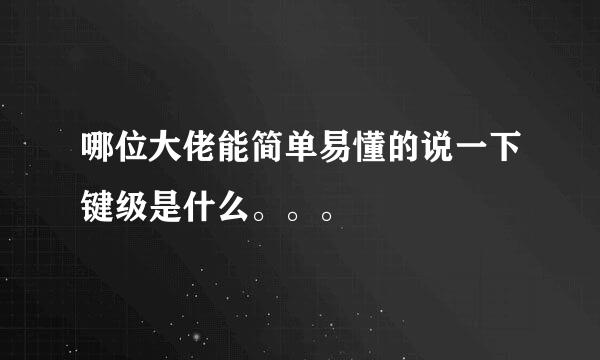 哪位大佬能简单易懂的说一下键级是什么。。。