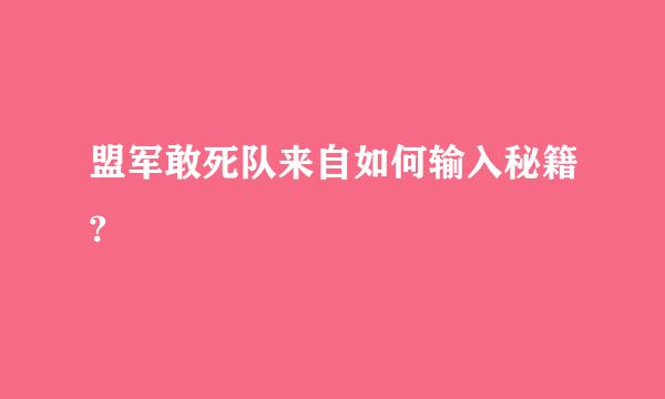 盟军敢死队来自如何输入秘籍?