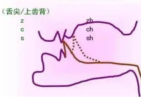 卷舌音和翘舌音的区别是什么?