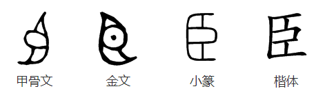 臣字的笔顺怎么写?