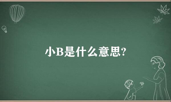 小B是什么意思?