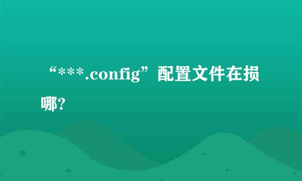 “***.config”配置文件在损哪?