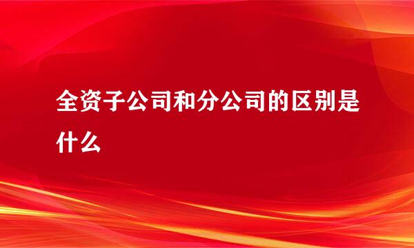 全资子公司和分公司的区别是什么