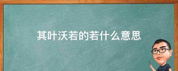 其叶沃若的若什么意思