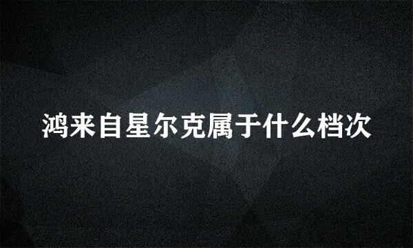 鸿来自星尔克属于什么档次