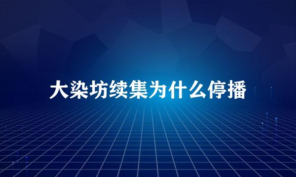 大染坊续集为什么停播