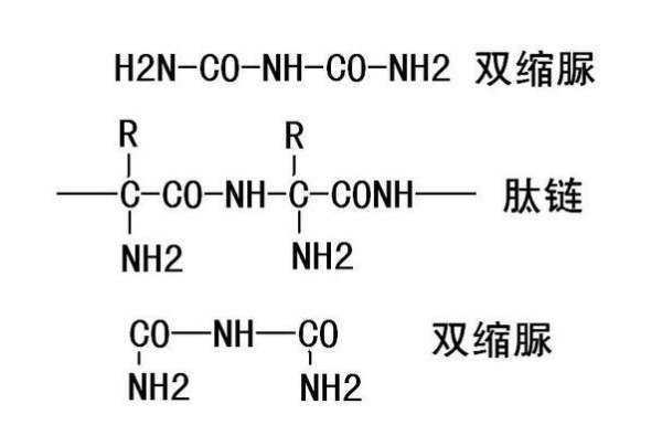 双缩脲来自反应