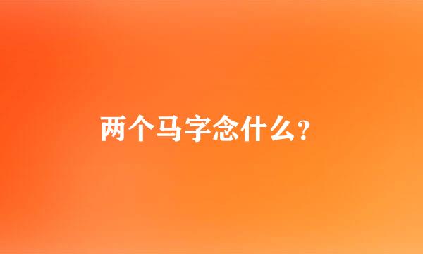 两个马字念什么？