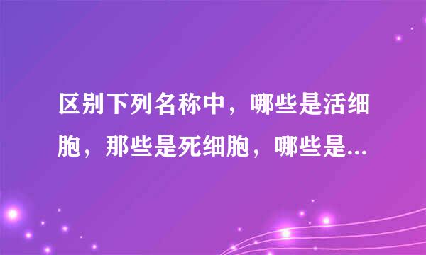 区别下列名称中，哪些是活细胞，那些是死细胞，哪些是细胞产物？