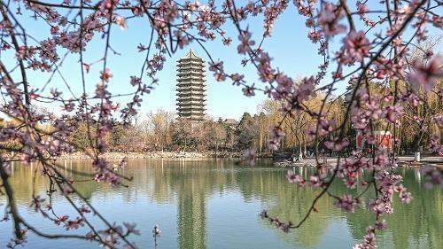 北京大学mba学费