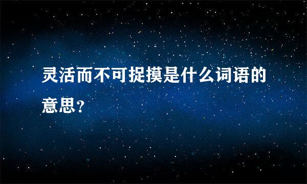 灵活而不可捉摸是什么词语的意思？