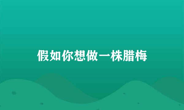 假如你想做一株腊梅