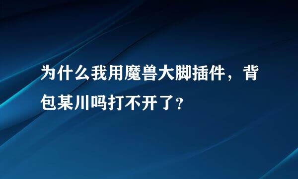 为什么我用魔兽大脚插件，背包某川吗打不开了？