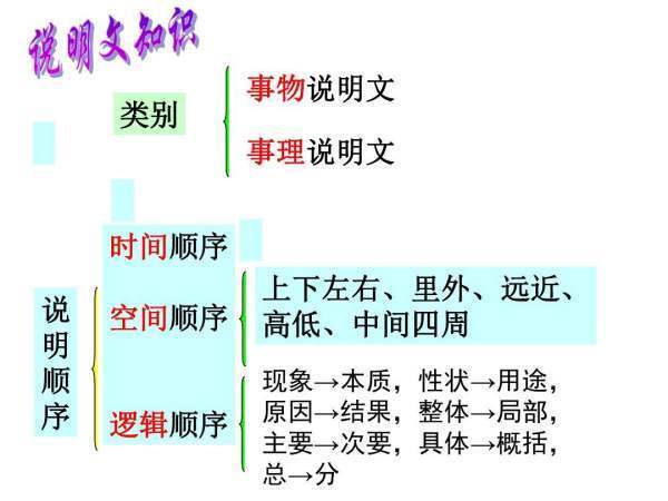 常见的逻辑顺序有什么？