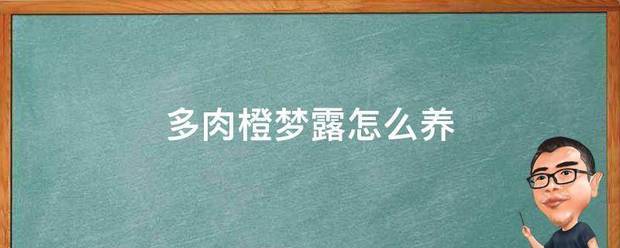 多肉橙梦露怎么严叶映商易市曾手宽械末养