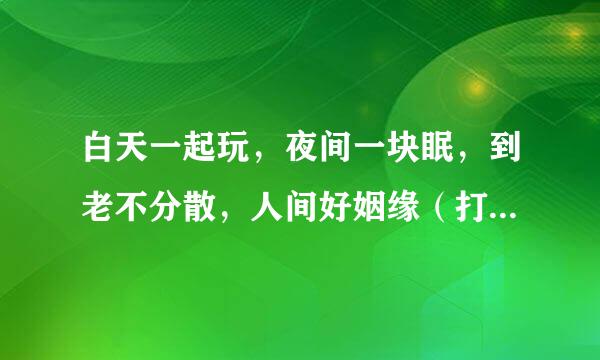 白天一起玩，夜间一块眠，到老不分散，人间好姻缘（打一动物）