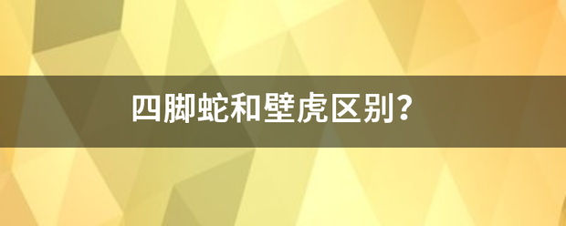 四施垂脚蛇和壁虎区别？