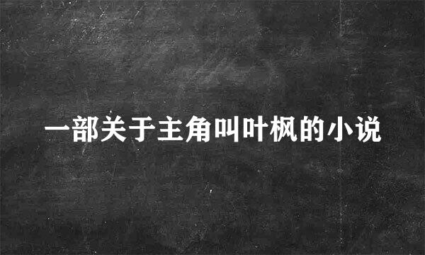 一部关于主角叫叶枫的小说