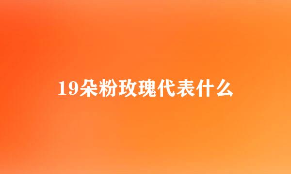 19朵粉玫瑰代表什么