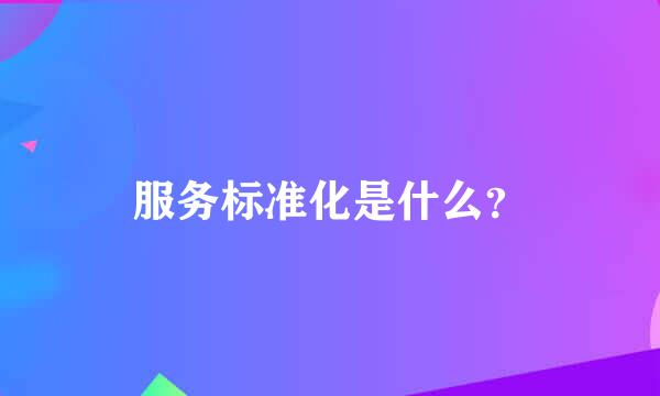 服务标准化是什么？