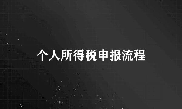 个人所得税申报流程